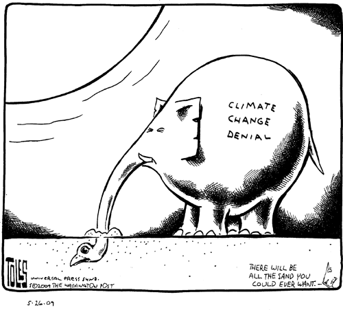 Tom Toles